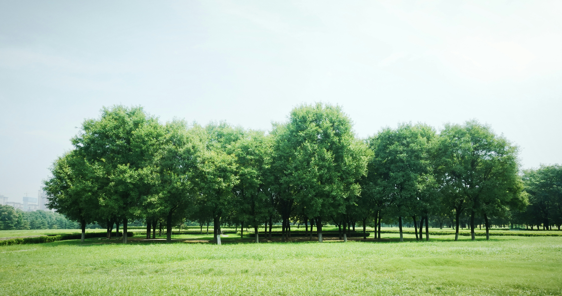 Public Open Spaces
