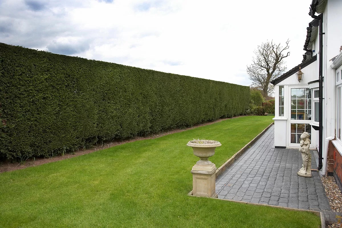 Landscaping