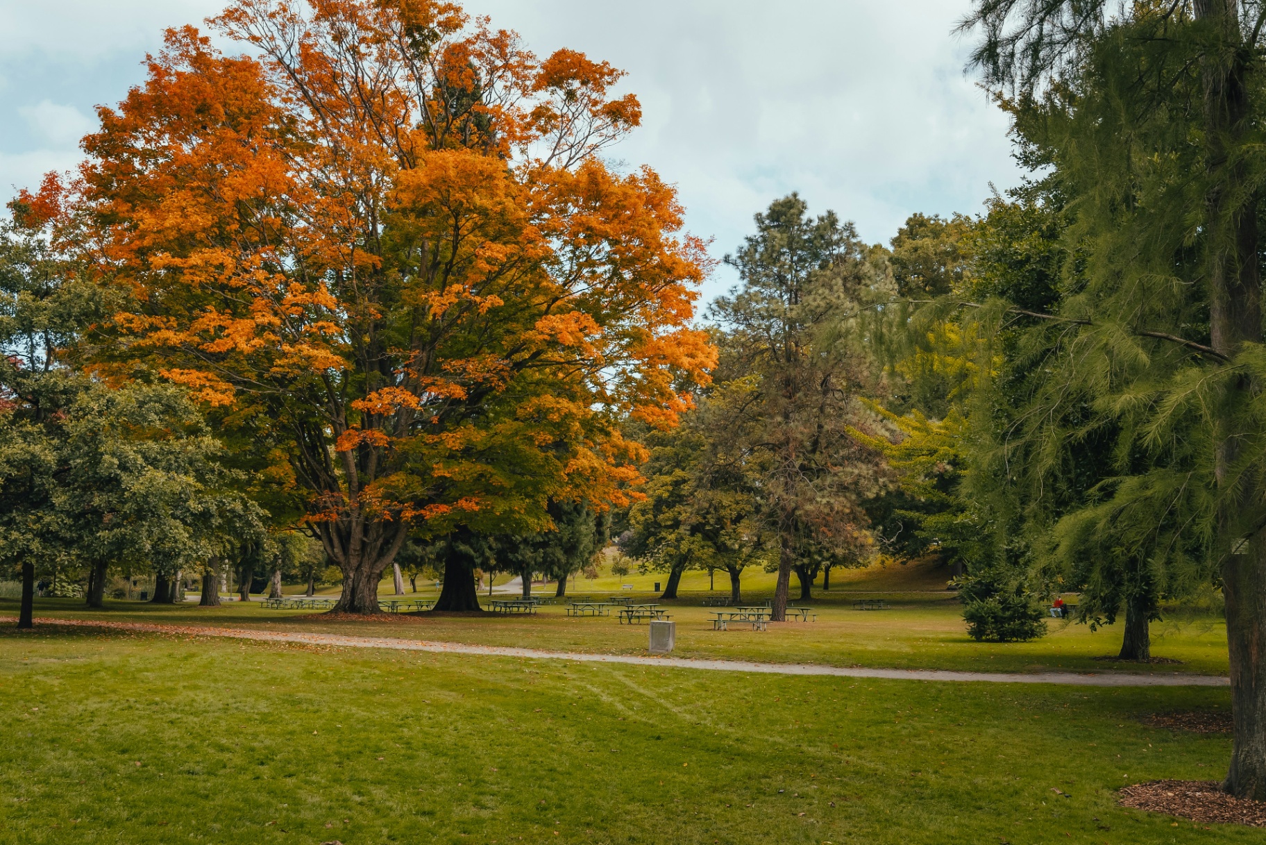 Park & Recreation Areas