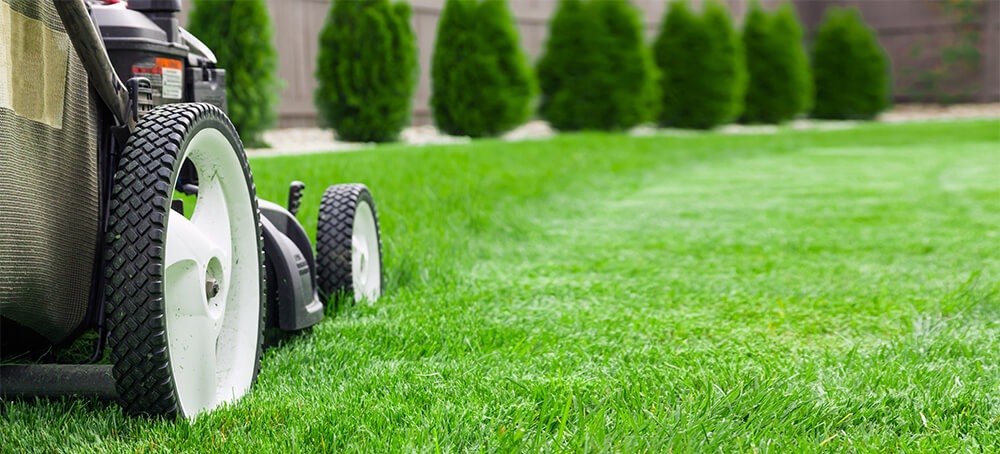 Grounds Maintenance
