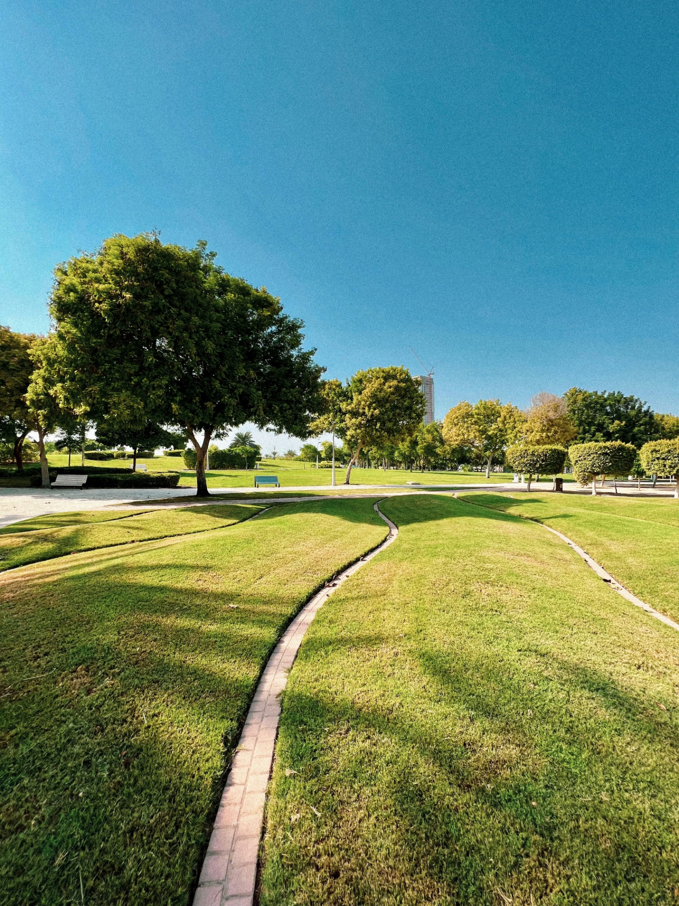 Civic park with curved pathways and manicured lawns