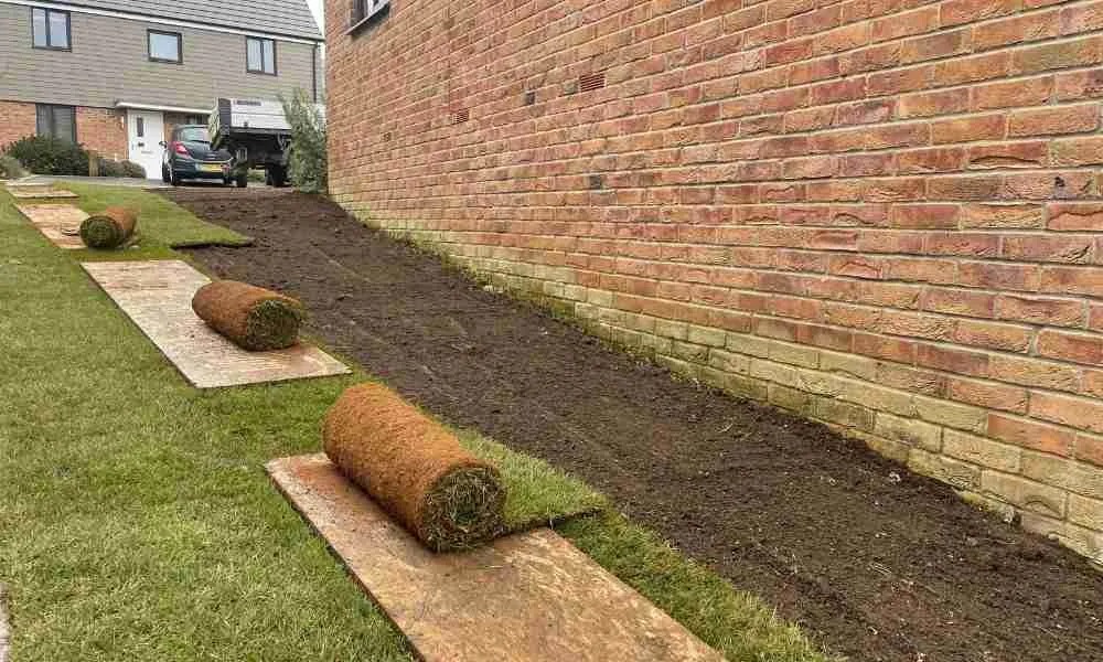 Fresh Turf Rolls Delivery