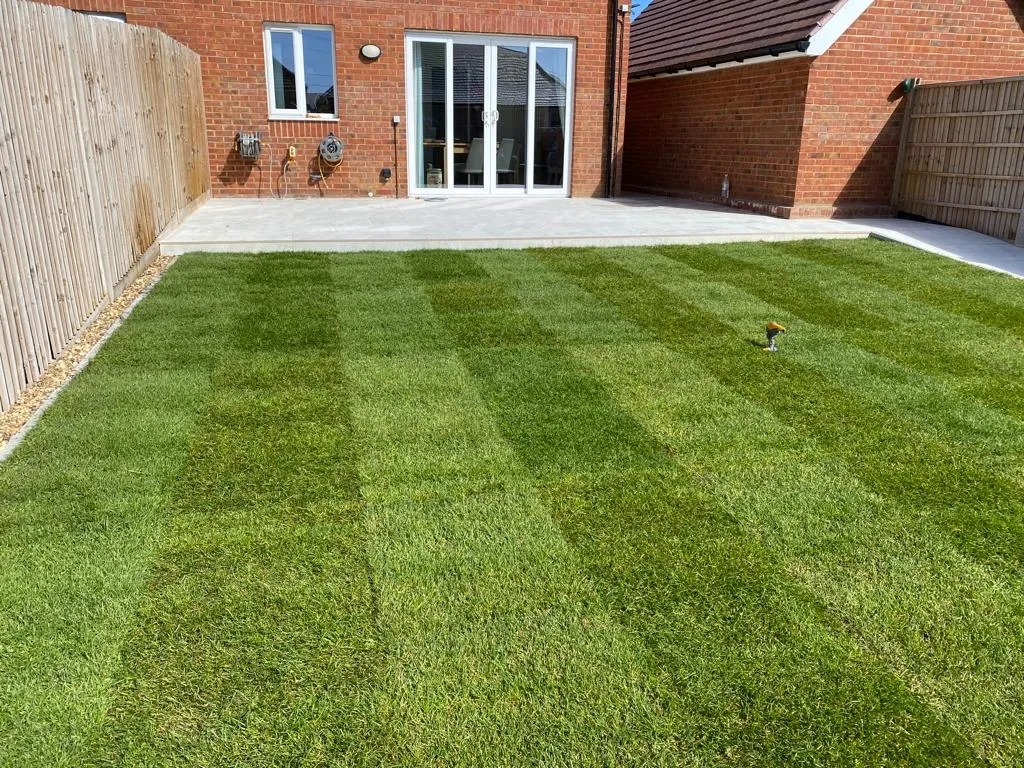Patio-Edge Lawn