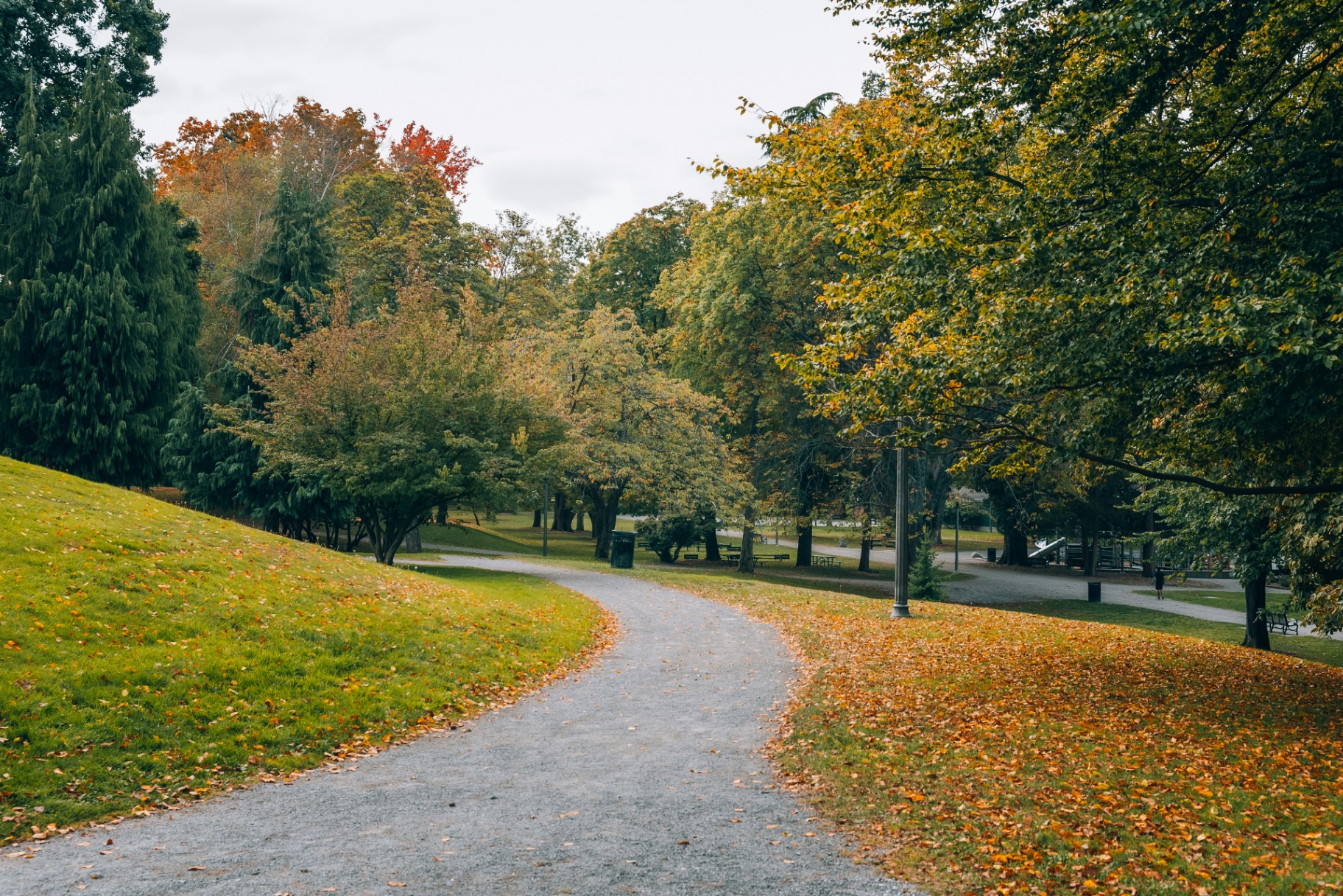 Path & Verge Care