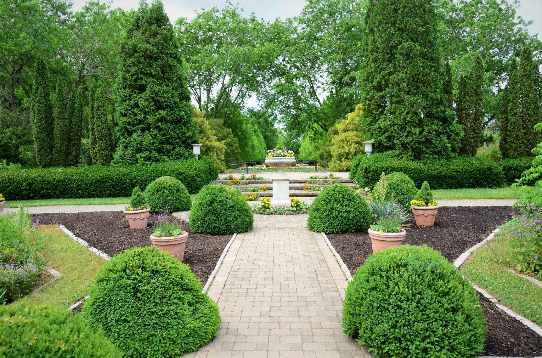 Formal garden with manicured topiary and pathway