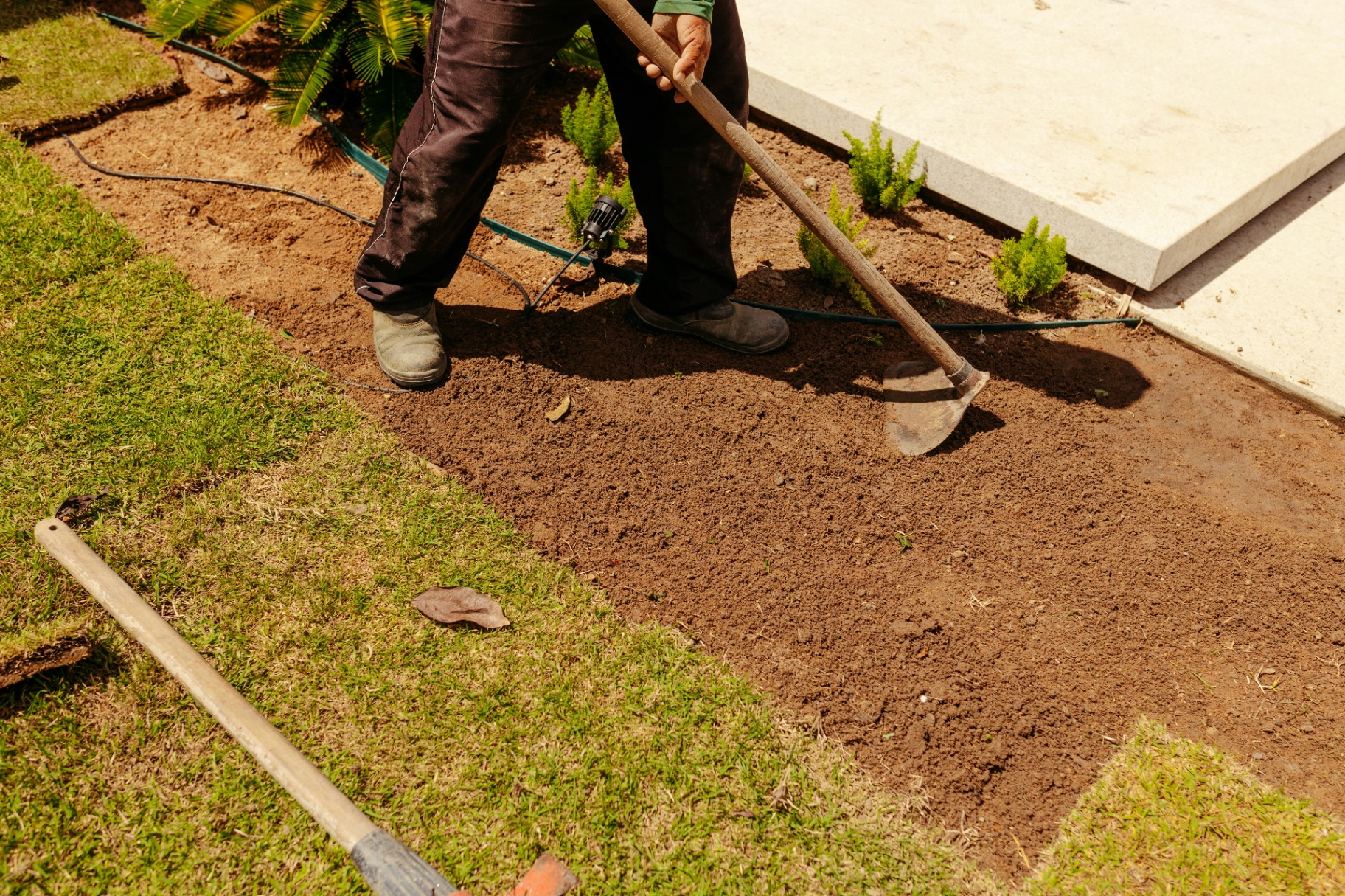 Turfing project 2