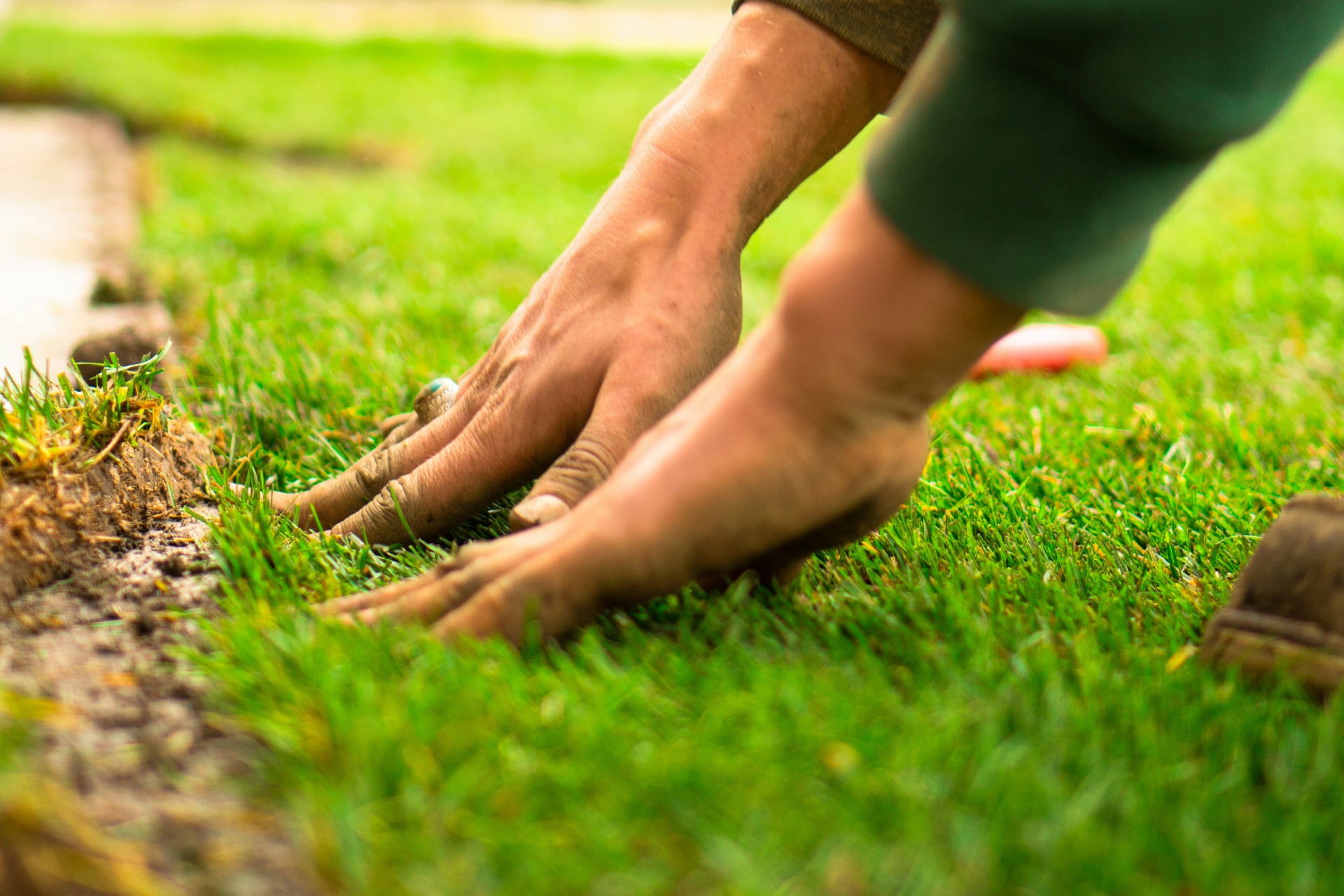 Turfing project 1